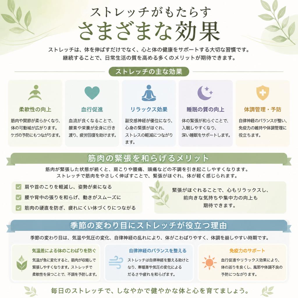 ストレッチの重要性とその効果